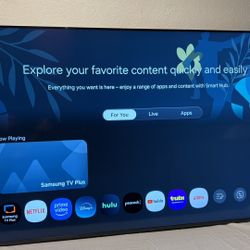 75” SONY TV