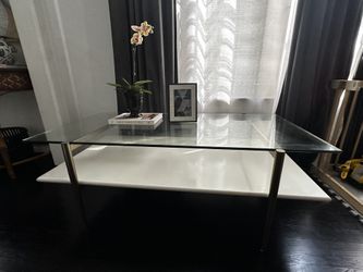 West Elm Art Display Coffee Table