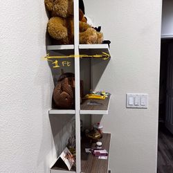 Ladder Book shelf