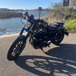 2022 Harley Davidson Iron 883