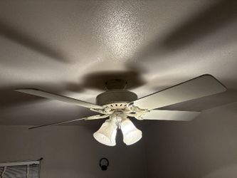 Ventilator