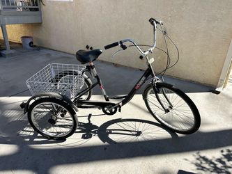 Adult Tricycle