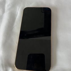 iPhone Gold 13 Pro Max