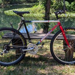 Vintage Mountain Bike Nishiki Cascade
