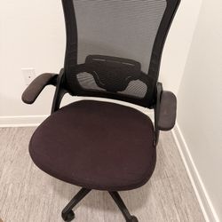 Ergonomic Office chair
