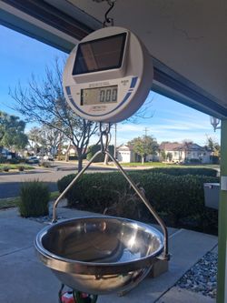 Scale, Hanging, Produce, Other Uses 30lb Max