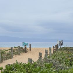 Christmas ornament set