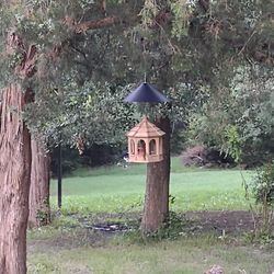 Deluxe Gazebo Bird Feeder, Solid Wood Wild Bird Feeder, 15in Diameter