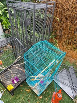 Bird cages