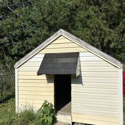 Shed / Dog House