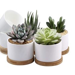 White Mini 3.15 inch Ceramic Flower Planter Pot with Bamboo Tray, Pack of 6 - Plants Not Included