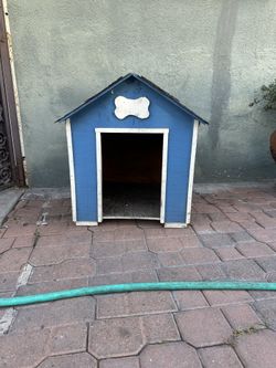 dog house