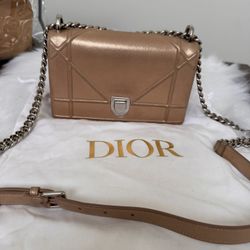 Dior Diorama Leather 