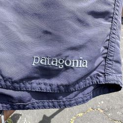 Patagonia Shorts