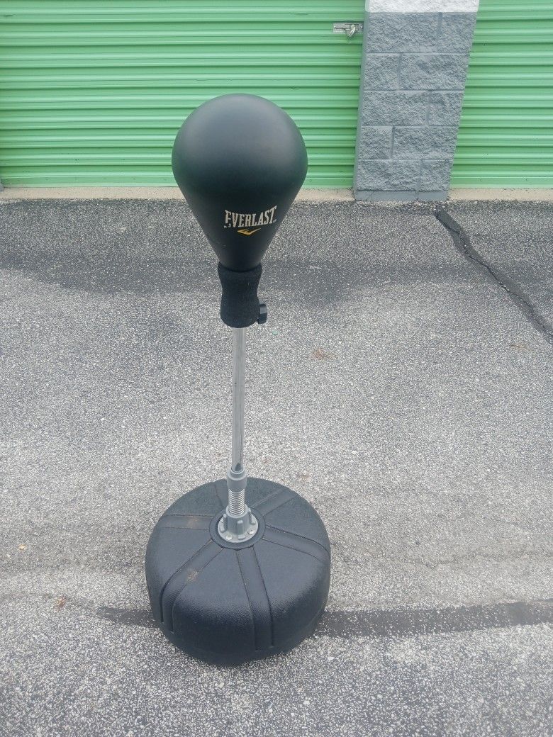 Everlast Speed Bag, Ect.