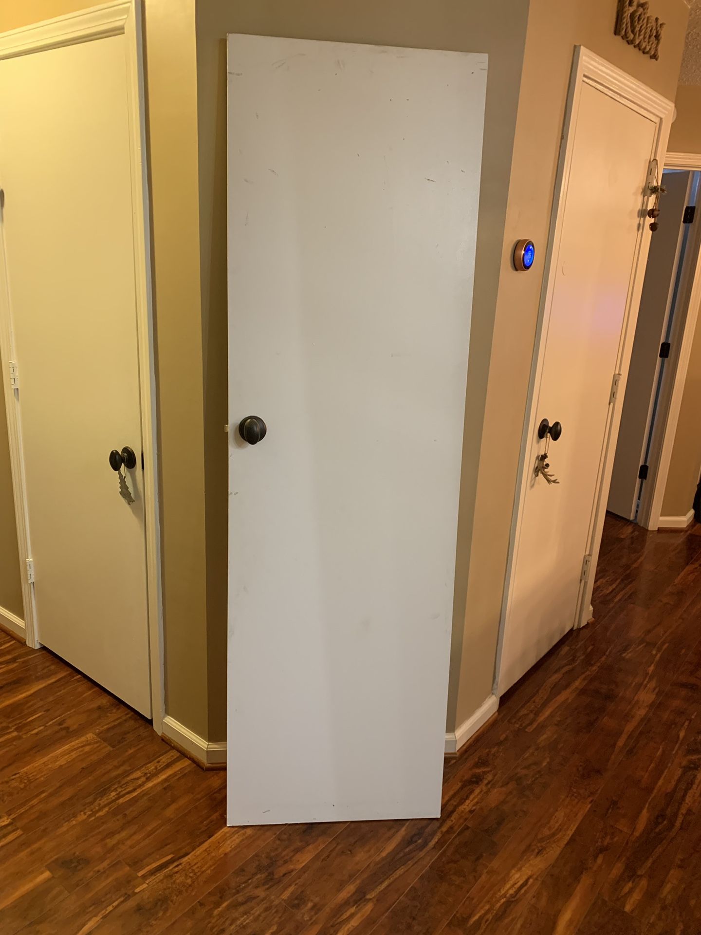 Closet Door- FREE