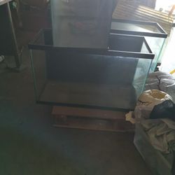 Fish Tanks