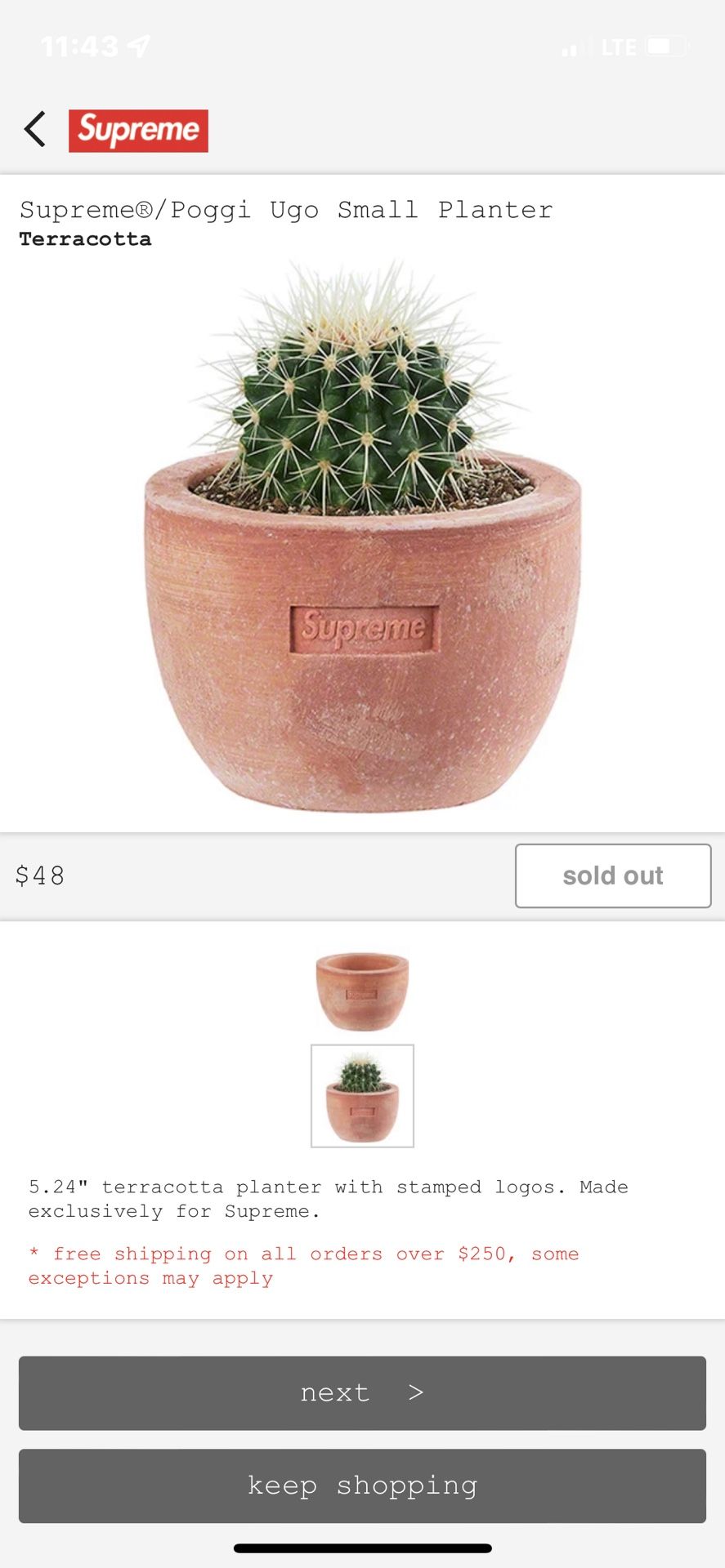 Supreme Poggi Ugo Large Planter 【公式通販】