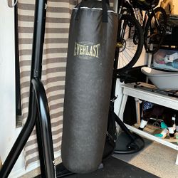 Everlast Boxing Heavy Bag 