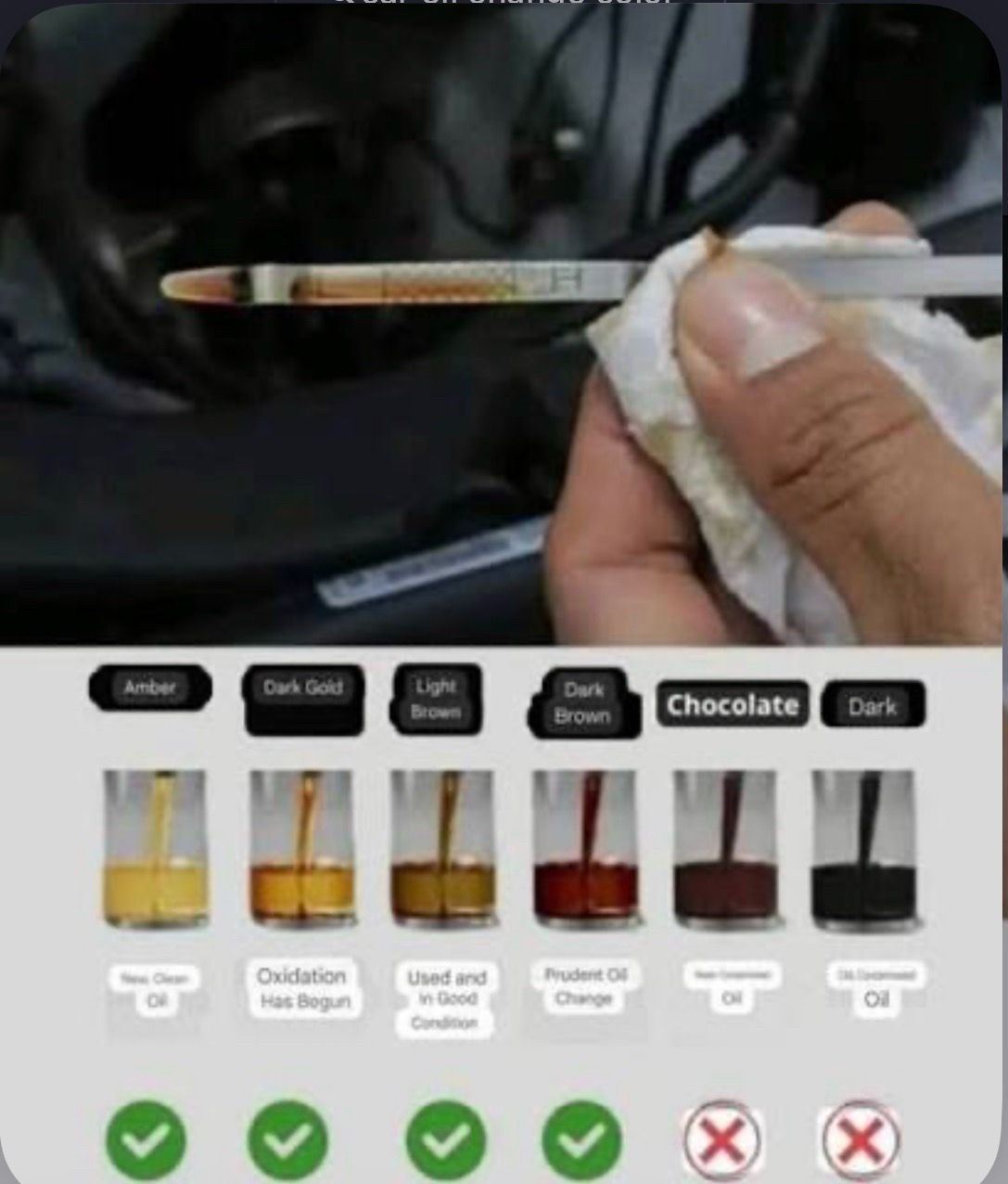 Oil changes 40$