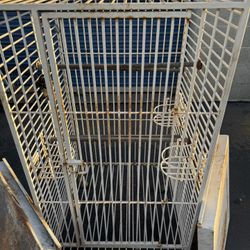 Bird Cage 