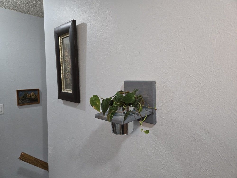 Wall Shelf Plant Holder With Plant
