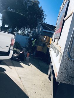 Free Clean Mulch! FREE DELIVERY NEARBY AREAS