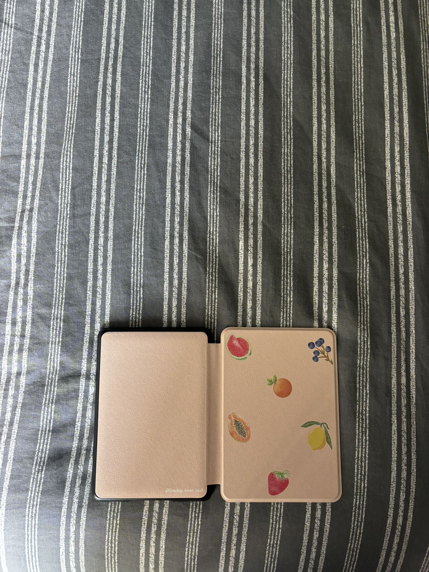 Original Kindle Case