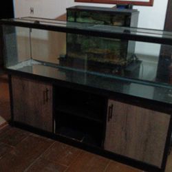 Fish Tank $400