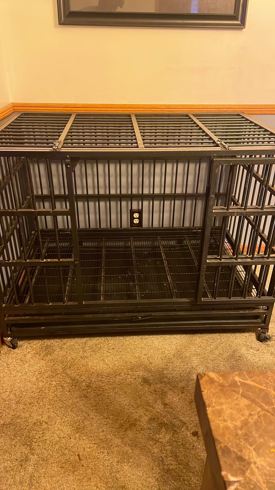 Metal Cage