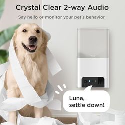 Petcube Bites 2 lite Pet monitor Baby monitor.  Indoor security