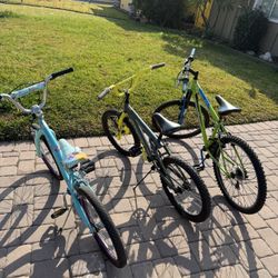 $20 Each 18”schwinn 18”magna 24” Pollye MTB