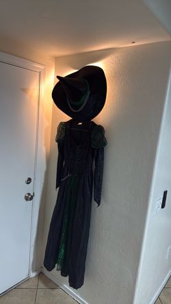 Wizard of Oz witch costume