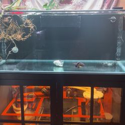 100 Gallon Tank Stand And Sump