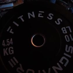 Fitness Signature 10 Lb Weights 