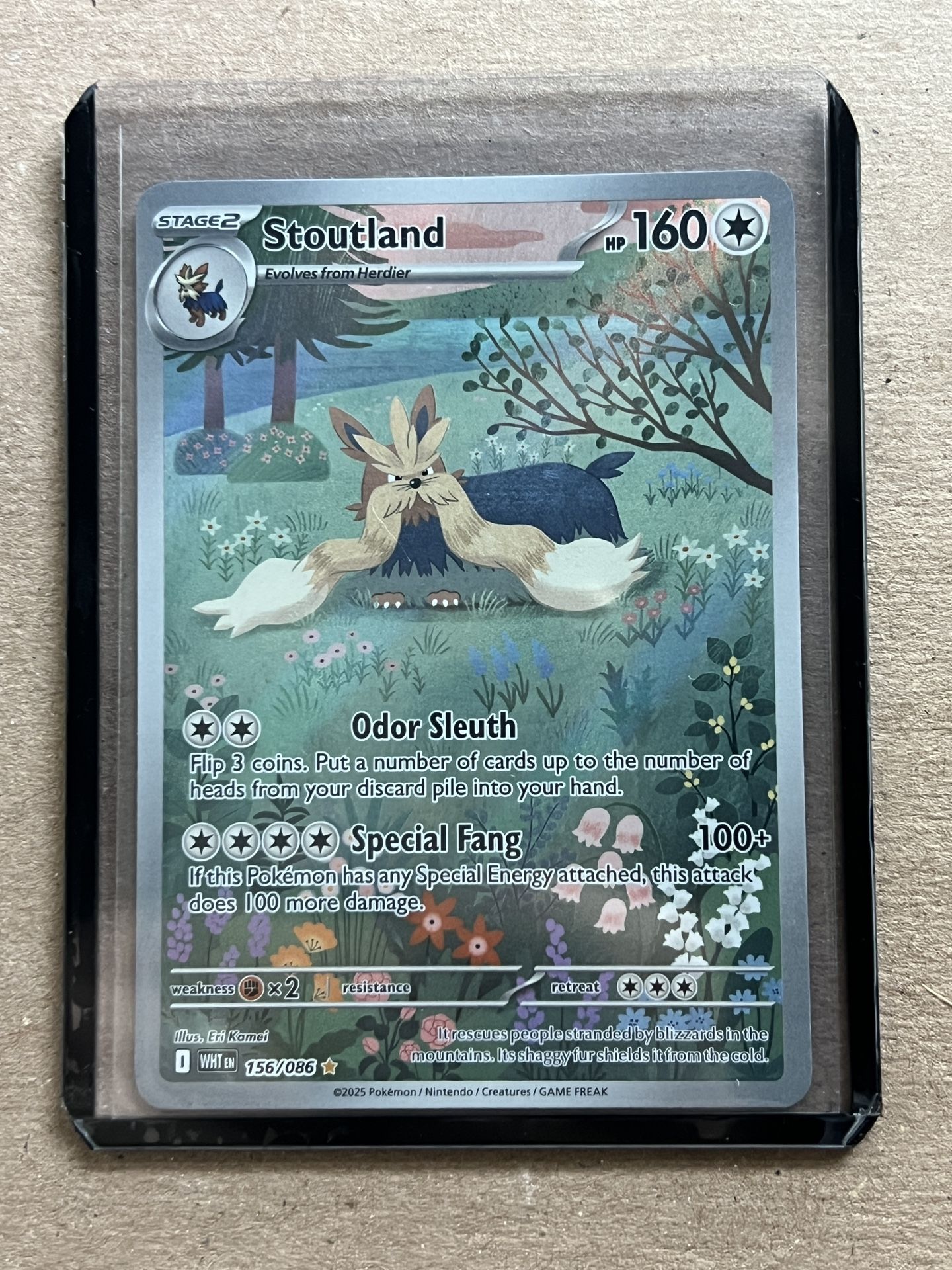 Stoutland Pokemon Full Art