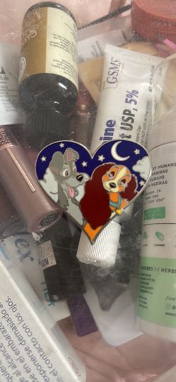Disney Lady And The Tramp Pin