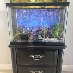Fish Tank and Stand, 20 gallon.