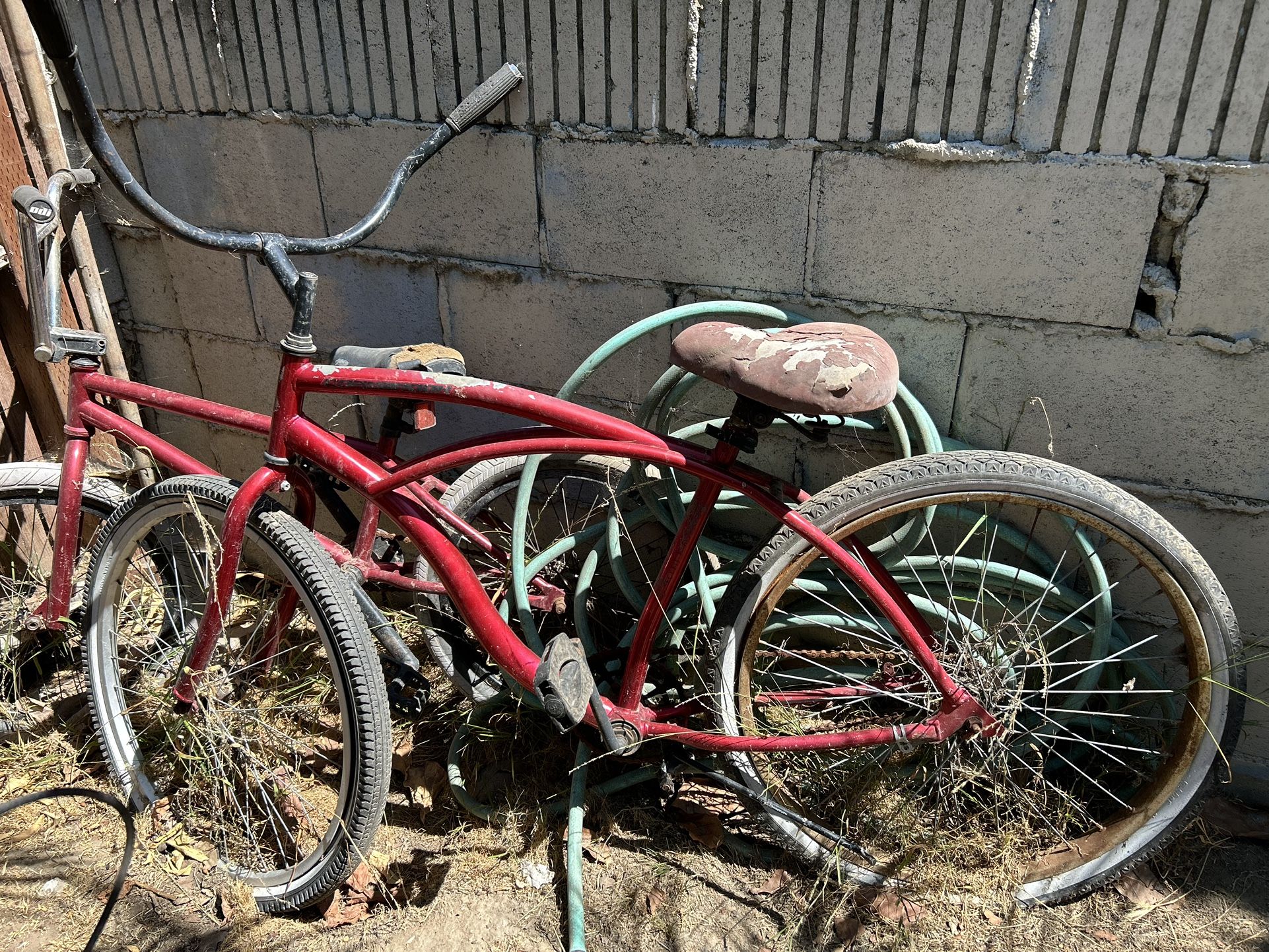 Beach Cruiser