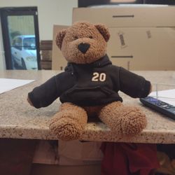 Teddy Bear 20 Stewart 