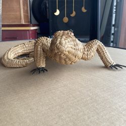 Mario Lopez Torres Iguana