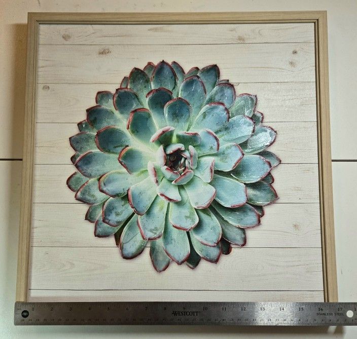 Succulent Wall Art - Pinwheel