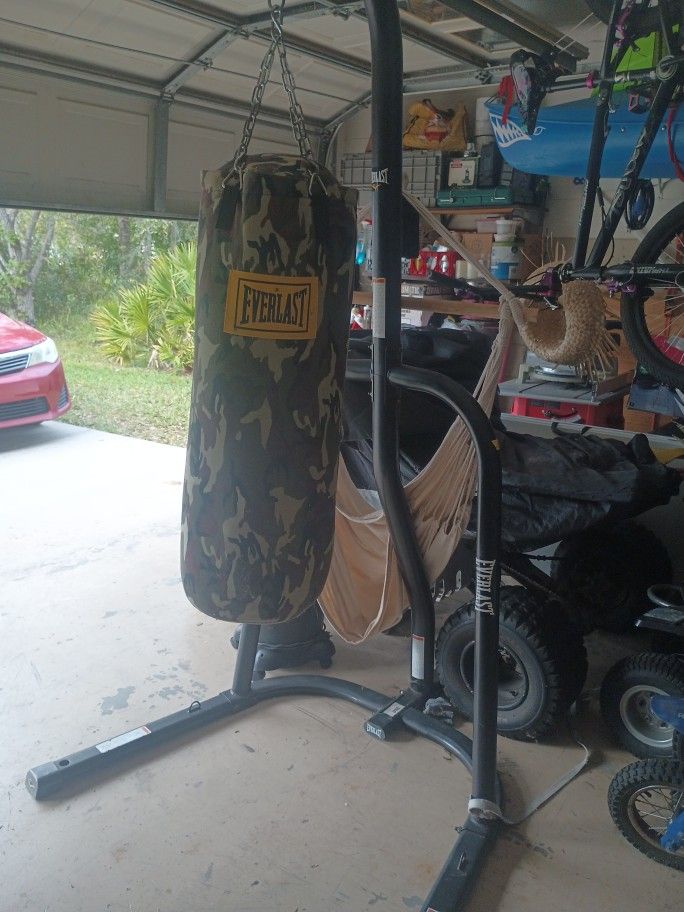 Everlast Punching Bag And Stand