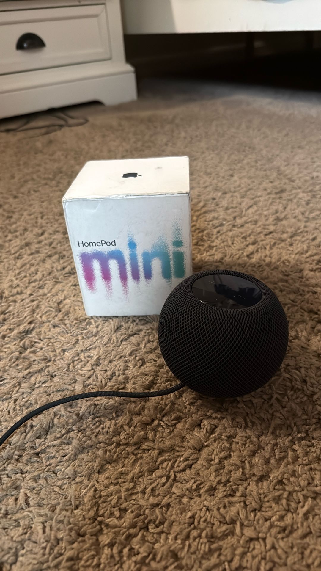 Apple Homepod Mini With The Compatible Logitech Circle Wired Camera