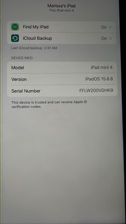 iPad mini 4