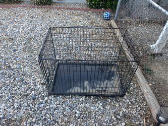 Medium Sized Animal Carrier