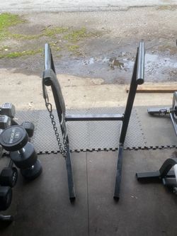 Dips Station with Belt
