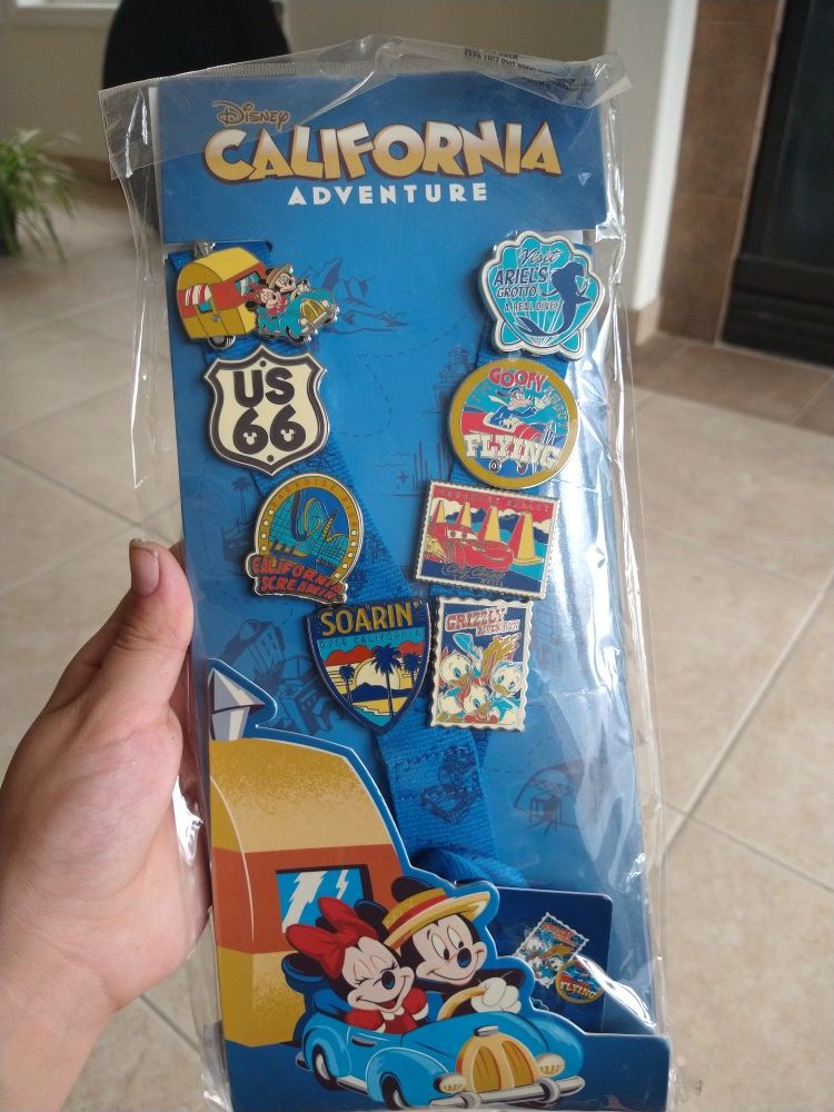 Disney California adventure pins