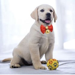 Comfortable Bow Dog Collars, Cat Collars, Removable and Adjustable For Small To Large Pets