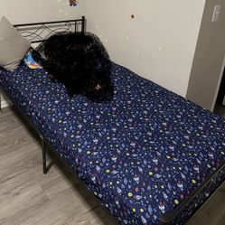 Twin Bed And Mattress